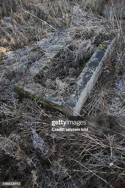 Poland, Lodz, Jewish cemetery