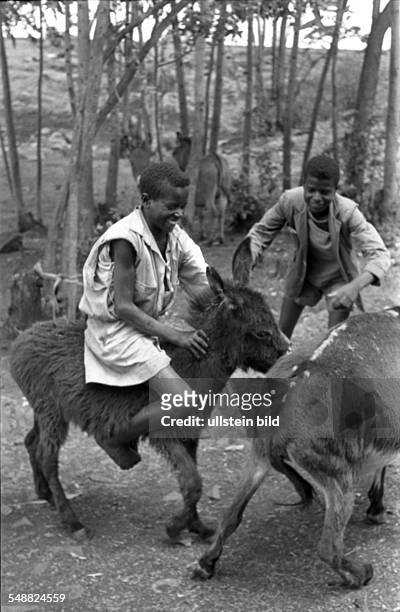 Ethiopia: Children playing with donkeys