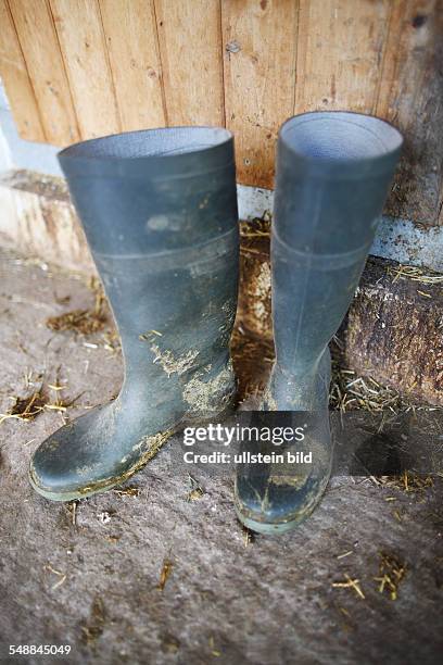 Rubber boots