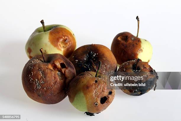 Rotten apples