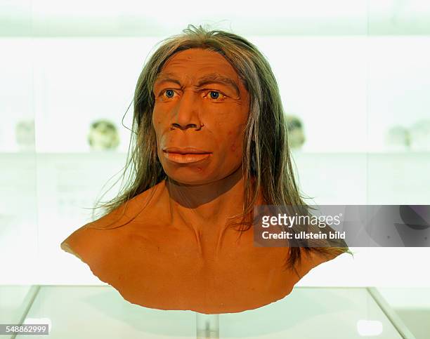 Switzerland Basel-Stadt Basel - Museum of Natural History, model of a Neanderthal -