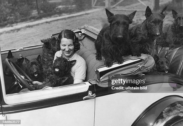 The Scottish Terrier: Adelina Hinrichsen with dogs of their breeding goes for an excursion in a car - 1931 - Photographer: Heinz von Perckhammer -...