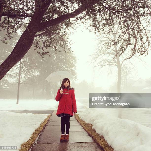 snow and umbrella - lustig bunt bildbanksfoton och bilder