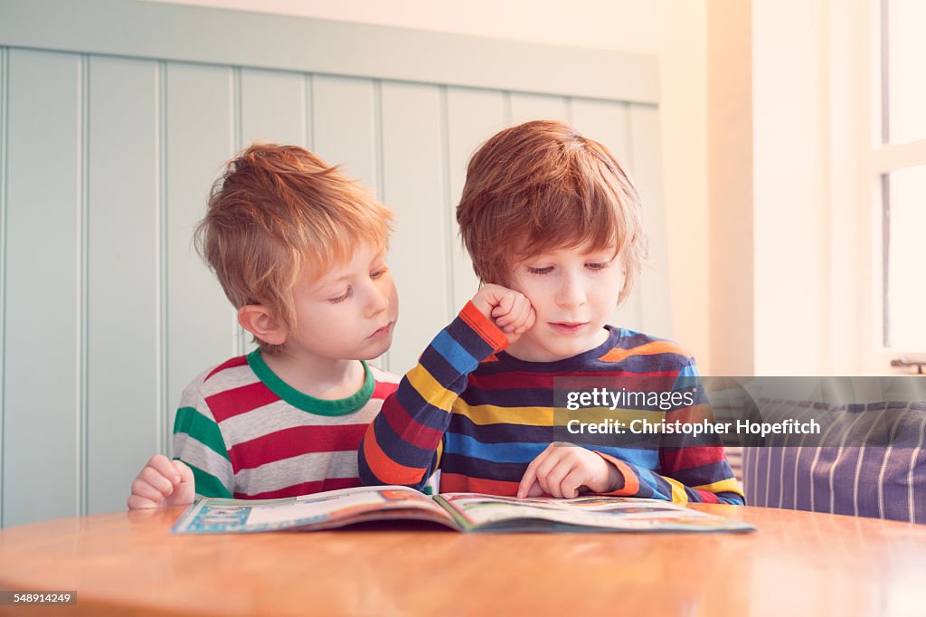 Young brothers reading