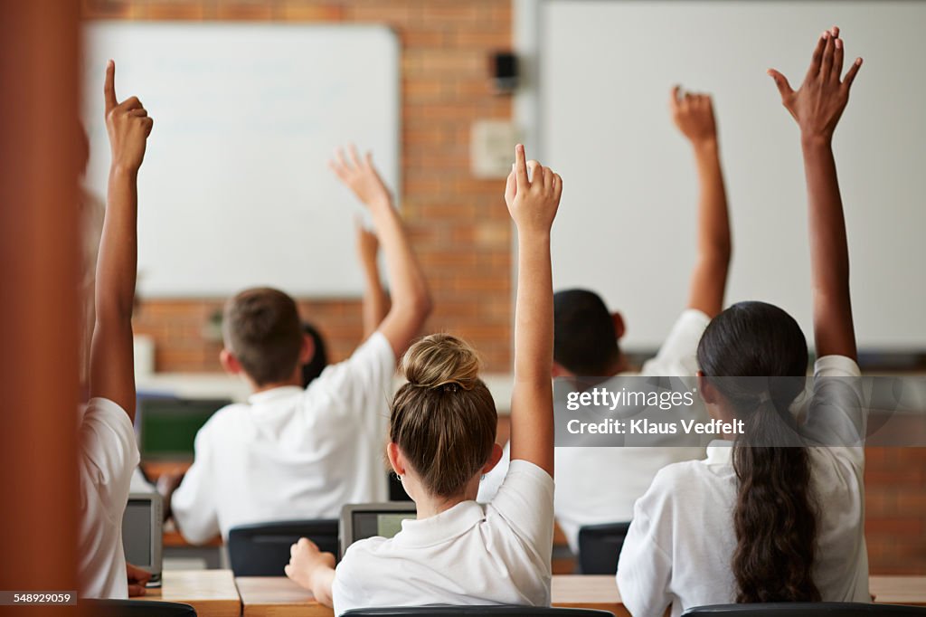 School students with raised hands, back view