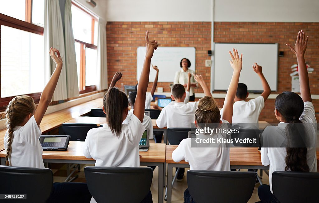 Back view of schoolclass with raised hands