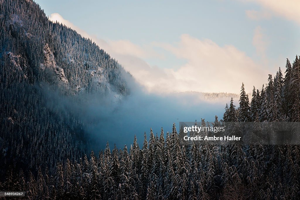 Low clouds in the mountain