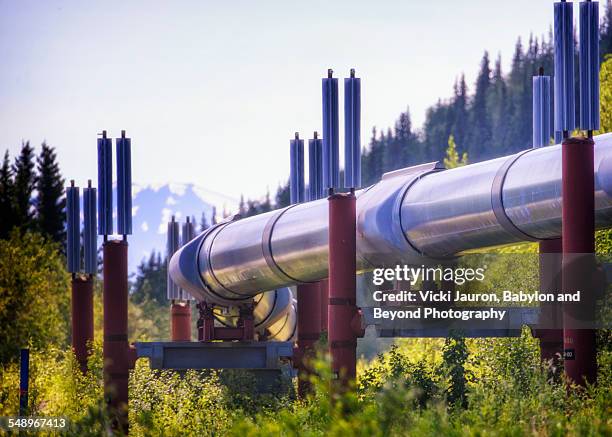 the alaskan pipeline winds through mountains - pipeline stock pictures, royalty-free photos & images