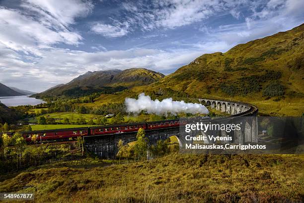 steam train - locomotive stock pictures, royalty-free photos & images