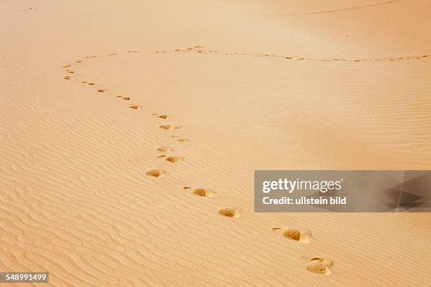 Sand Dune in Libyan Desert, Libyan Desert, Egypt