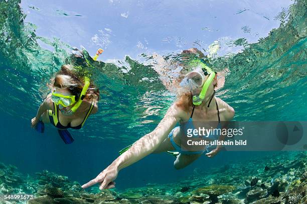 Skin Diving at Maldives, Ellaidhoo House Reef, North Ari Atoll, Maldives