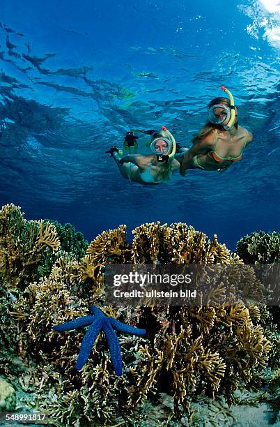 Two snorkeling girls, Bali, Indian Ocean, Indonesia