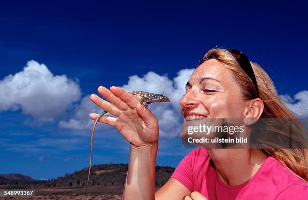 Tourist and Blue whiptail lizard, Cnemidophorus murinus ruthveni, Netherlands Antilles, Bonaire, Bonaire, Washington Slagbaai National Park, Boka...