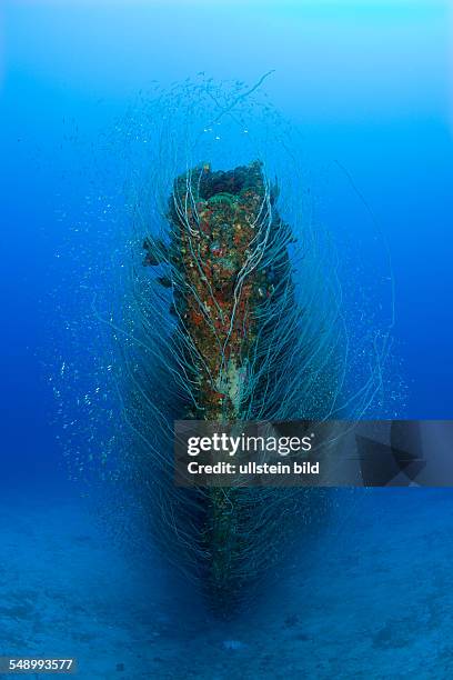 Bow of USS Apogon Submarine, Marshall Islands, Bikini Atoll, Micronesia, Pacific Ocean