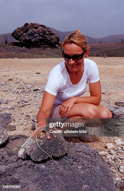 Tourist and Blue whiptail lizard, Cnemidophorus murinus ruthveni, Netherlands Antilles, Bonaire, Bonaire, Washington Slagbaai National Park, Boka...