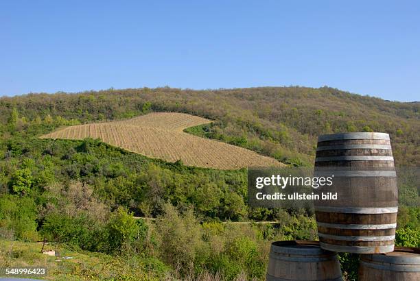 Weinfeld im Chianti classico in der Toskana - Frühling 2011