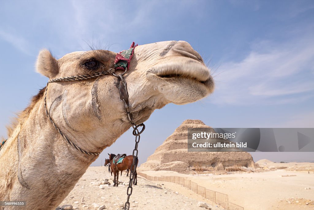 Saqqara Step Pyramid of Pharaoh Djoser, Saqqara, Egypt