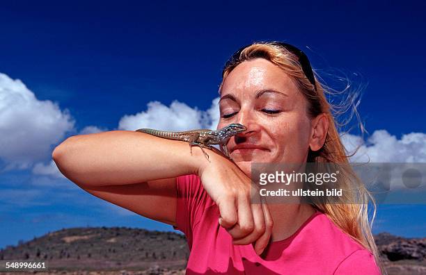 Tourist and Blue whiptail lizard, Cnemidophorus murinus ruthveni, Netherlands Antilles, Bonaire, Bonaire, Washington Slagbaai National Park, Boka...
