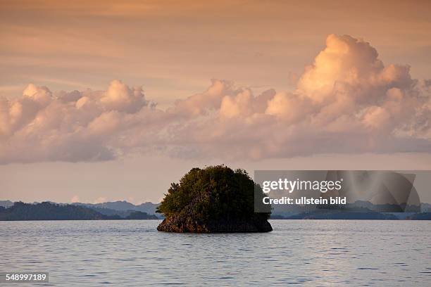 Masool Raja Island 28 Insel Misool Stock Photos, High-Res Pictures, and Images - Getty Images