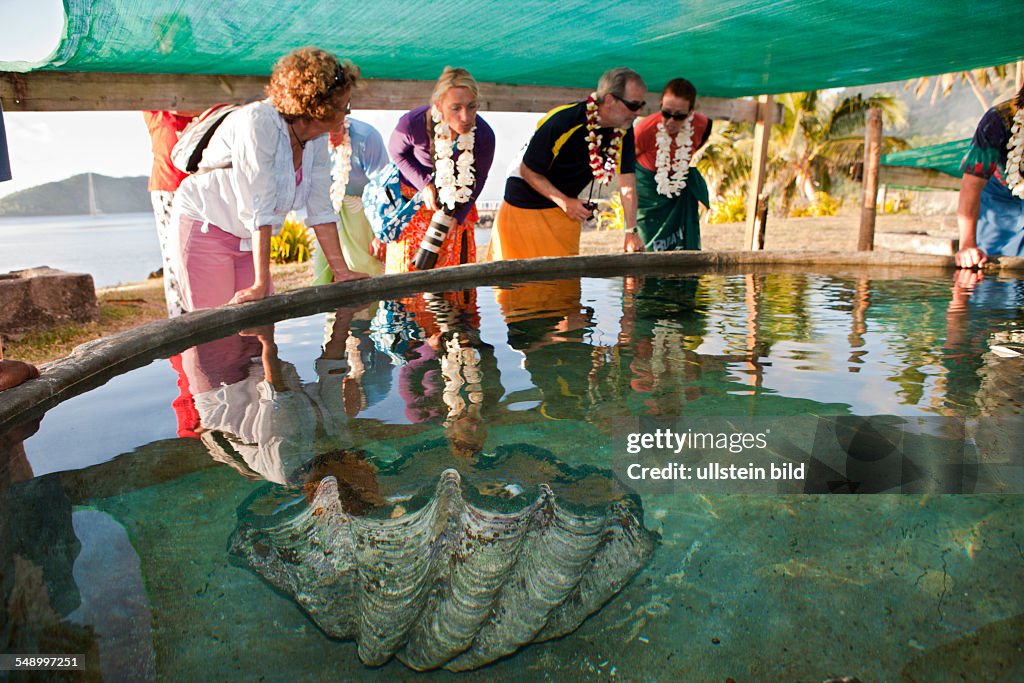 Giant Clam Farm, Tridacna gigas, Makogai, Lomaviti, Fiji