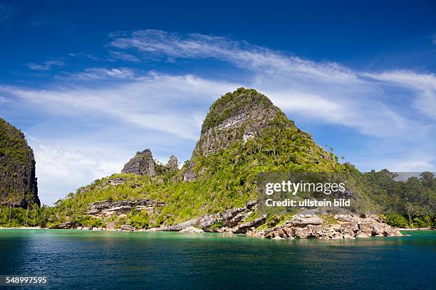 Shells From Misool 28 Insel Misool Stock Photos, High-Res Pictures, and Images - Getty Images