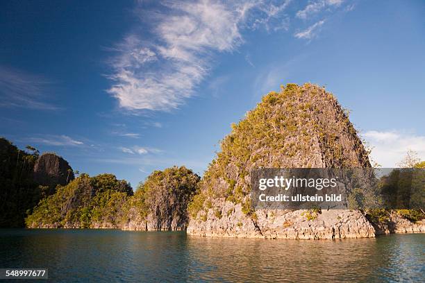 Shells From Misool 28 Insel Misool Stock Photos, High-Res Pictures, and Images - Getty Images
