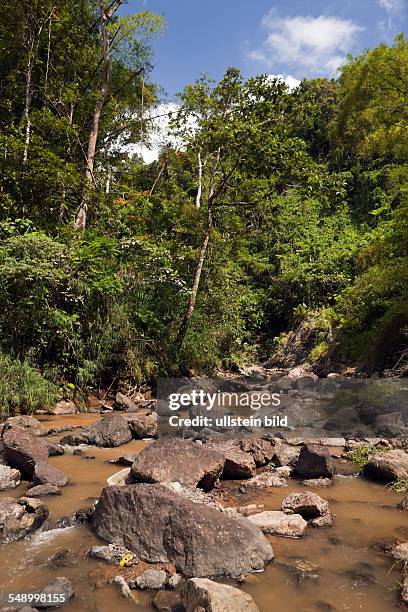 Impressions of Navua River, Pacific Harbour, Viti Levu, Fiji