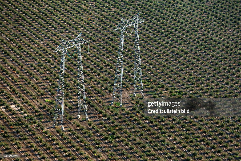 USA: Aerial: Agriculture in the Central Valley, transmission towers