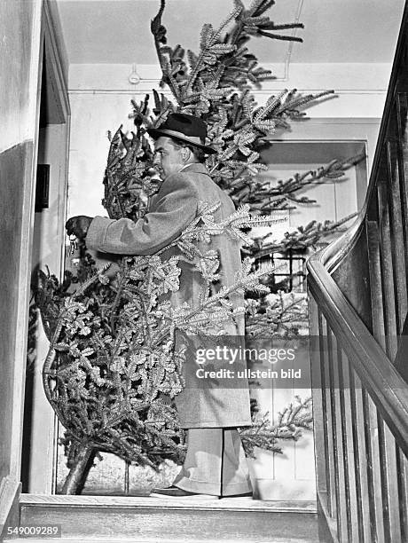 Christmas time: Man bringing home the christmas tree let fifties