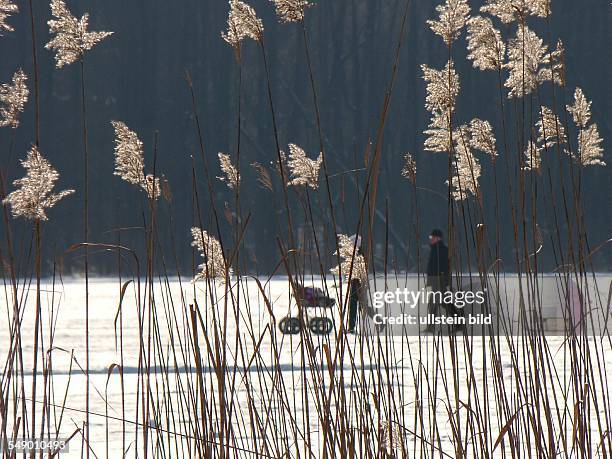 Winterspass - Der Karutzsee, ein beliebtes Ausflugsziel, hier drehte schon Gerhart Hauptmann seine Runden. Bei hohen Minustemperaturen ist der See...