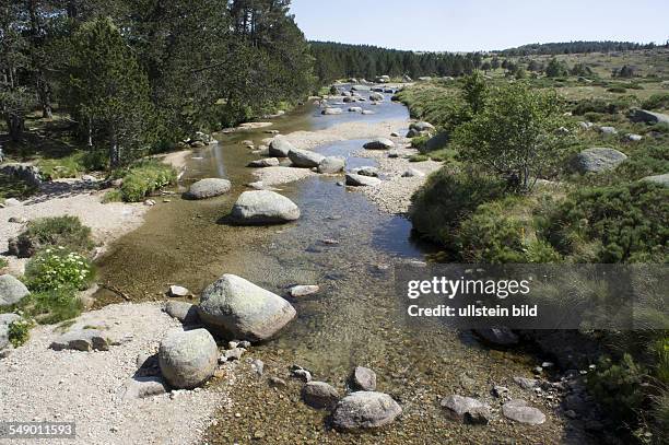 Frankreich, Cevennen: Der Oberlauf des Tarn bei Pont-de-Montvert, Department Lozere, im Nationalpark Cevennen