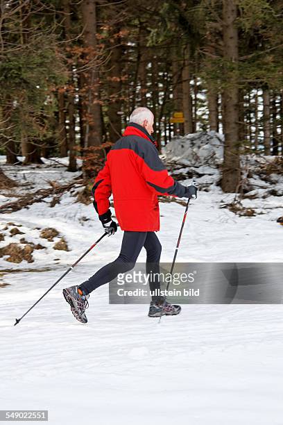 Nordic Walking im Schnee