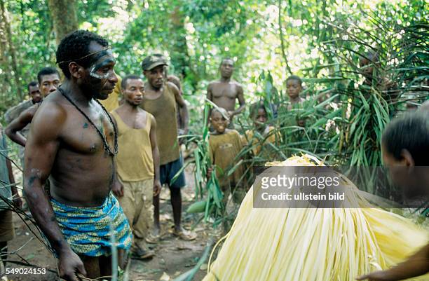 Cameroon, Africa: Baka Pygmies with the spirit Ejengui during a ceremony in the rain forest of Southeast Cameroon