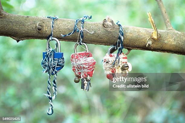 Benin, Ketu district: Tied locks to lock people are hung to a tree branch in the sacred forest.