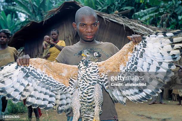 Cameroon, Africa: Baka Pygmy with a baged eagle in the rain forest of Southeast Cameroon