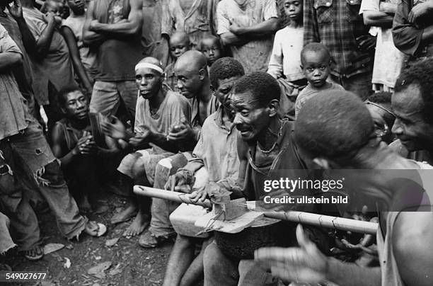 Cameroon, Africa, Lomi: Baka pygmies in the rain forest. Here: Baka string instrument