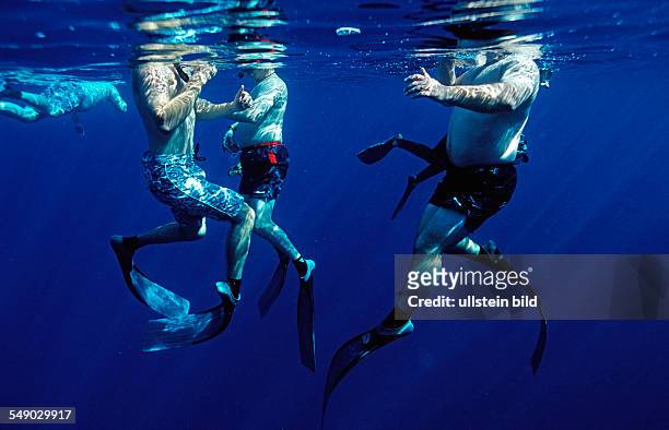 Swimming on the surface, Egypt, Red Sea, Hurghada