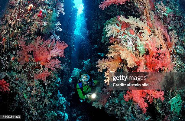 Scuba diver in underwater grotto, Egypt, Zabargad, Zabarghad, Red Sea