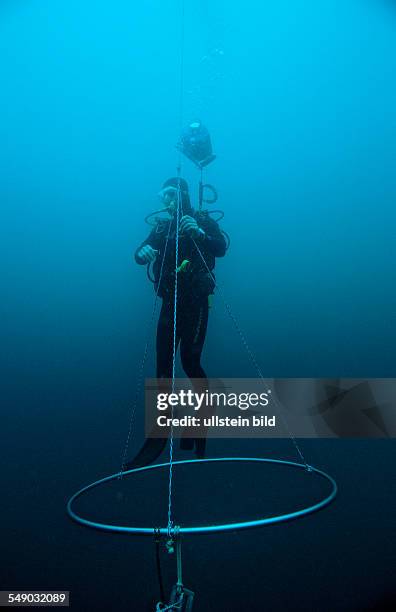 Decompression Stop 104 Decompression (Diving) Stock Photos, High-Res Pictures, and Images ...