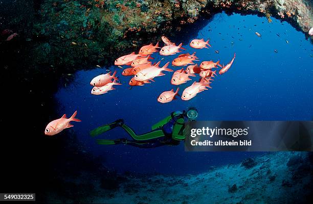 Scuba diver and Blotcheye soldierfishes, Underwater cave, Myripristis murdjan, Maldives Islands, Indian ocean, Ari Atol, Atoll