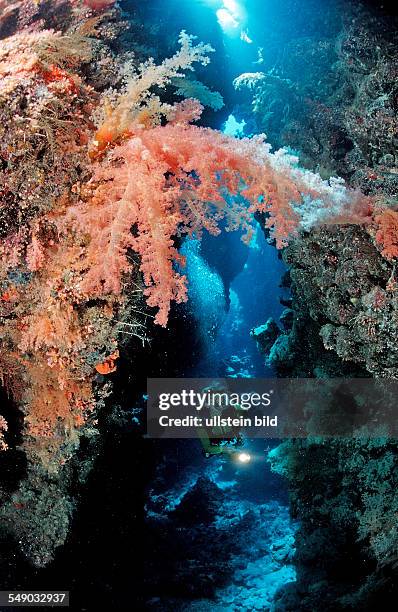 Scuba diver in underwater grotto, Egypt, Zabargad, Zabarghad, Red Sea