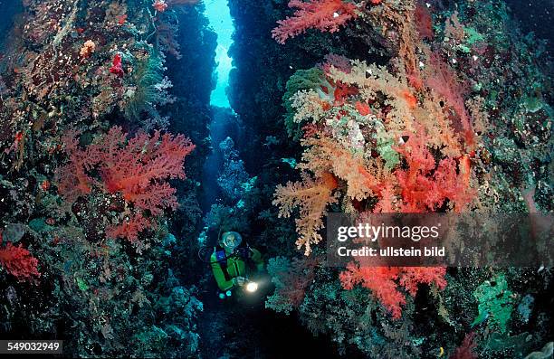 Scuba diver in underwater grotto, Egypt, Zabargad, Zabarghad, Red Sea