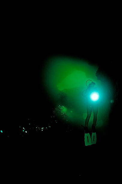 Kinetic Asymmetry: Why Nitrogen Leaves Your Body Slower Than It Enters