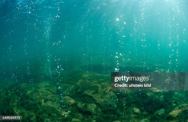 Volcanic gas bubbles, Bahamas, Great Abaco, Atlantischer Ozean