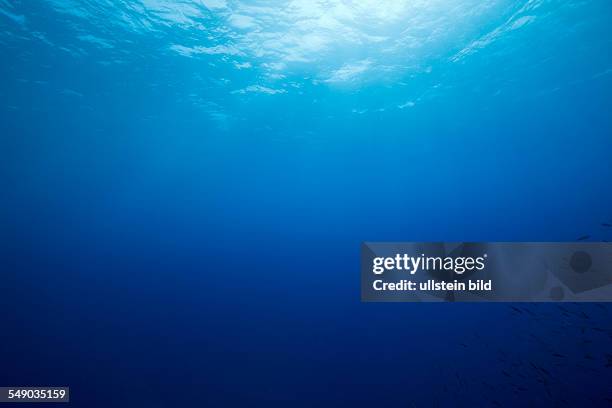 Ocean Depth, Micronesia, Palau