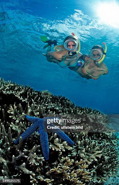 Two snorkeling girls, Bali, Indian Ocean, Indonesia