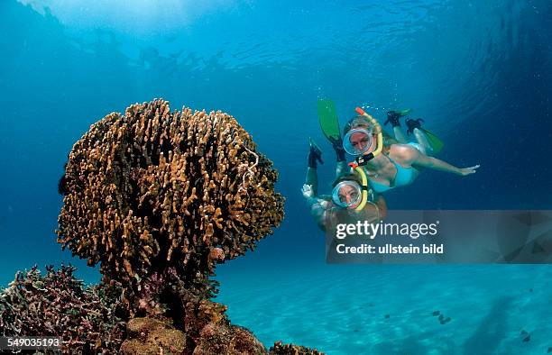 Two snorkeling girls, Bali, Indian Ocean, Indonesia