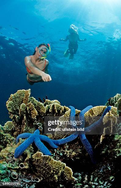 Two snorkeling girls, Bali, Indian Ocean, Indonesia