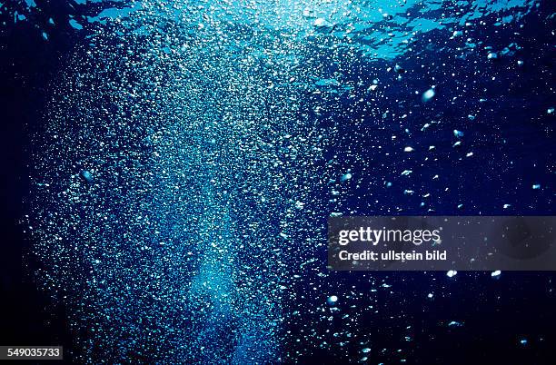 Air bubbles rising underwater, Mexico, Sea of Cortez, Baja California, La Paz