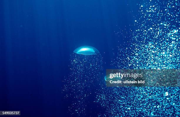 Air bubbles rising underwater, Mexico, Sea of Cortez, Baja California, La Paz